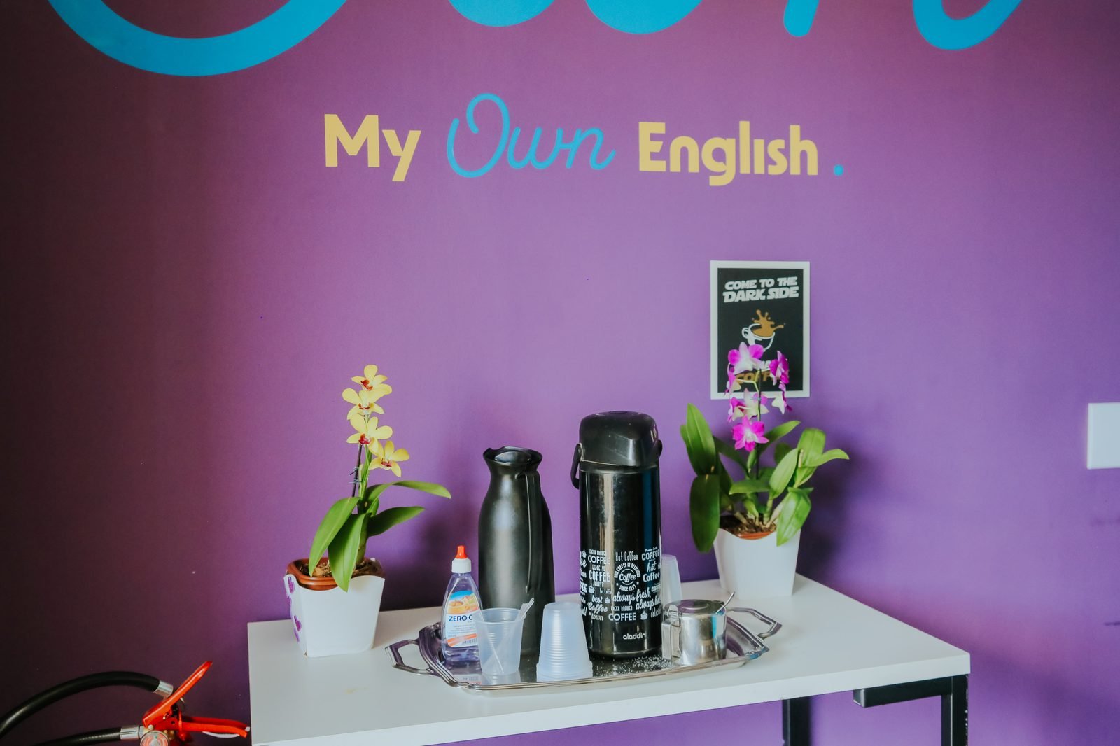 Parede decorada com a identidade da My Own English